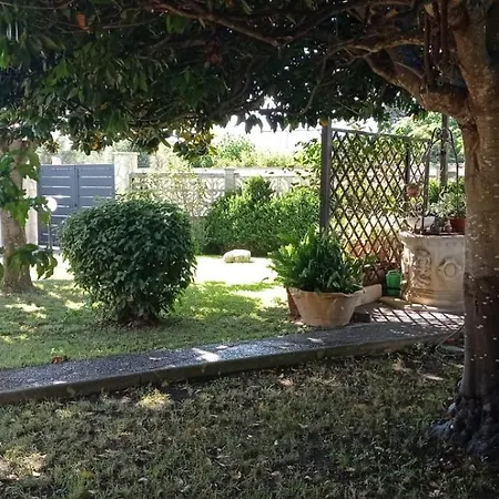Magnolia