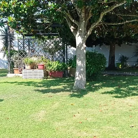 Magnolia Lecce
